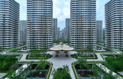 大家房產 穩健發展穿越行業波動,產品向新助力韌性前行